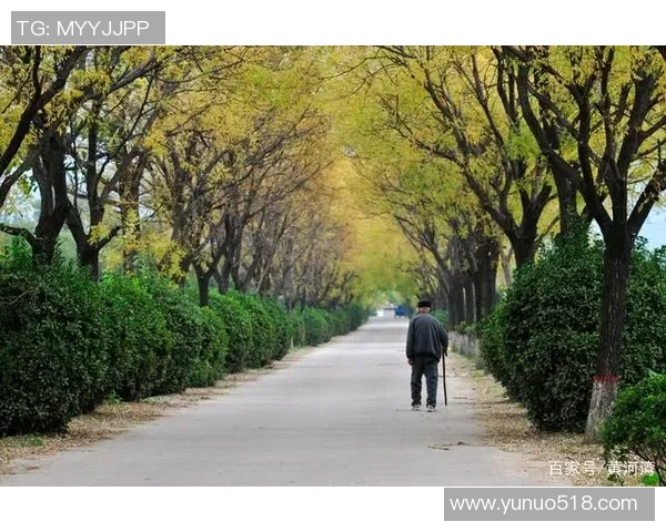 孤独的足球明星背影映衬着辉煌与落寞的交织人生